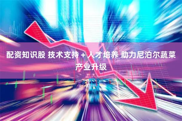 配资知识股 技术支持＋人才培养 助力尼泊尔蔬菜产业升级